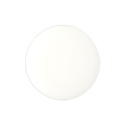 Shank Button with Shiny Finish